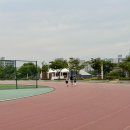 수지레스피아배드민턴장 | 경기도 용인 가볼만한곳 죽전 아르피아 체육공원 후기 전망대 정보