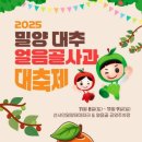 얼음골사과