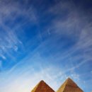 힐링바이오 이미지