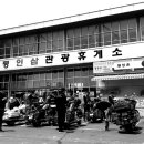 할리스토리 Daum카페