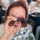 허브네 | 스텁허브로 워너원콘서트 예매해서 고척돔 4층에서 본 후기