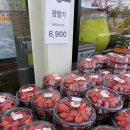 시티식자재마트 | 아산식자재마트 아산델리마트 탕정마트 전단지 계란 3,990원 딸기 5,900원