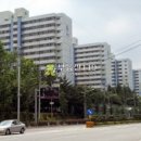 신기서길 이미지