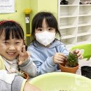 동부초교병설유치원 이미지