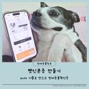 동물등록번호조회 후 PASS 앱 반려동물확인증 발급하기 LGU+