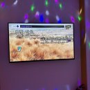 씽포유 코인노래연습장 이미지