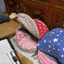 홍진농장2 이미지