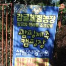 삼일산장 이미지