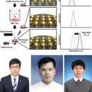 세종광학 이미지