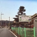 청산 블루베리 이미지