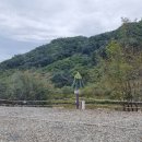 대룡산오토캠핑장 이미지