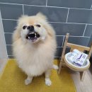 스테이핏 이미지