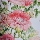 즐거운 유화 | 🧡취미미술 능소화 유화 시작! 능소화 꽃말, 의미 @퇴근후 미술원 힐링 취미 추천