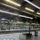 (주)비브릿지 | [여행 후기] 호주 시드니 4월 5박 7일 자유 여행 후기 / 일정 경비 날씨