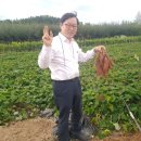 포니힐링관광민박 이미지