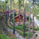 백운산 자연휴양림 야영장 이미지