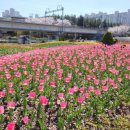 낙동강관리본부 화명생태공원 12 이미지