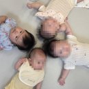 요가 B반 네이버블로그