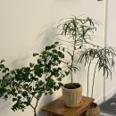 뜨라래 | 천호 꽃집 추천 뜨라래 꽃다발 내돈내산 후기 무인픽업가능