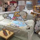 깡앤컷 | 곰돌찡 토끼찡 팝업 부산 서면 롯백 방문 후기