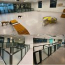 견상낙원 이미지