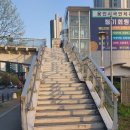 신봉초교 이미지