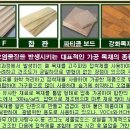 코아빌 이미지