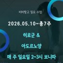 비바땅고 일요일 수업-히로&amp; 아도르노! 20260510~7주 이미지