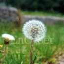 사직3동-6 이미지