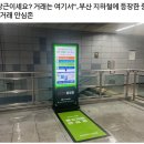 당근 중고거래 이제 안심할수있겠네요 이미지