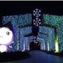 대구역네거리 교통섬 이미지