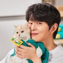 보령헬스케어 이미지