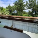 선스토리 이미지