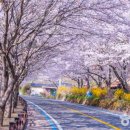 진해구 ⓒ-30 이미지