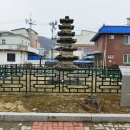위라리 이미지