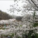 구민운동장 이미지