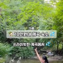 가든테라피펜션 이미지