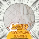 먼지 없고 가볍고 포근한 이불 찾는 분들께 추천! 보넬라 알러이케어 차렵이불 세트!!!