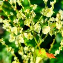 백심목장 이미지