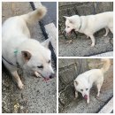 광무북1길 티스토리