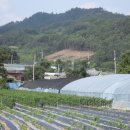 원경농장 이미지