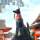 일본여행6 - 교토 후시미 이나리 신사, 나라 동대사, 오오사카 공중정원과 오오사카성 이미지