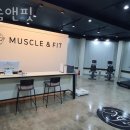 머슬앤핏 이미지