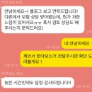 소미실비