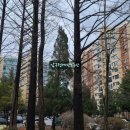 압구정-112 이미지