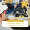 고성오조로 이미지