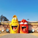 충주라바랜드 이미지