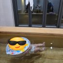 동두천자연휴양림 | 아기랑 나들이 동두천자연휴양림 어울림 2001호 숙박후기