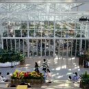 정원초등학교 이미지