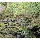 돈내코 평궤 화장실 이미지